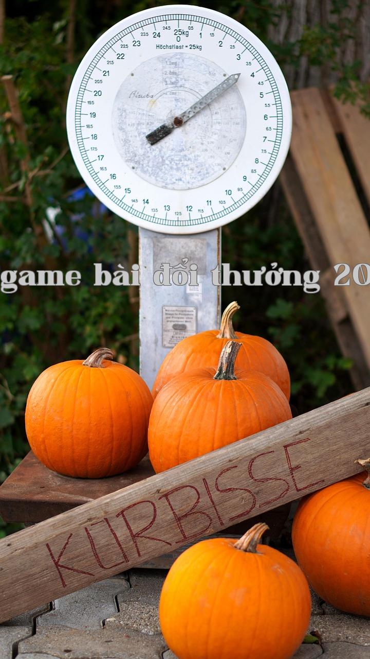 Vấn đề thuê nhà không chỉ đơn giản là do giá nhà cao - Game Bài Nohu36